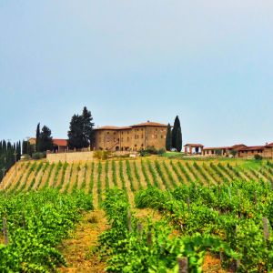 Das kleine Weingut auf Mallorca